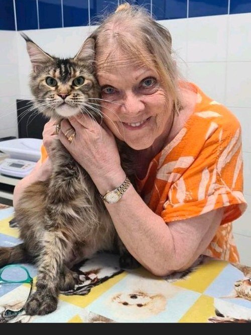 Hannelore Spahn con uno de sus Maine Coon